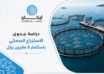 دراسة جدوى مشروع الاستزراع السمكي