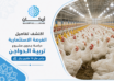 دراسة جدوى مشروع تربية الدواجن